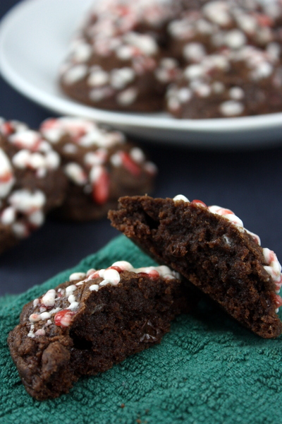 candycanecookies