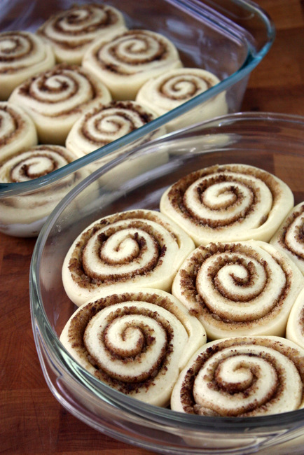 cinnamon rolls with cream cheese frosting