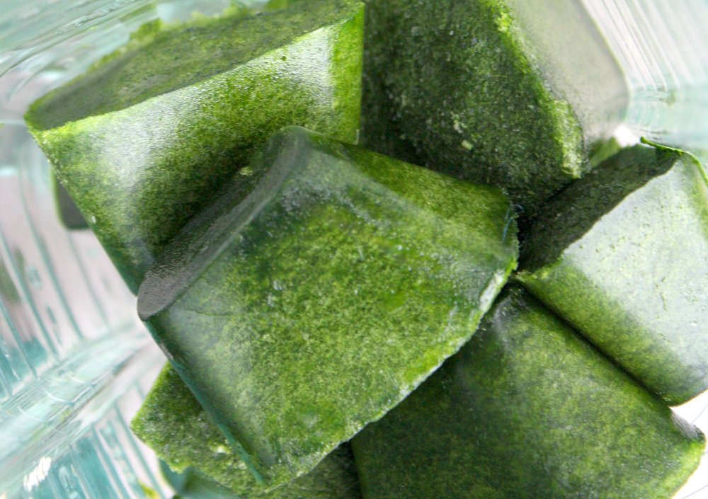 spinach ice cubes