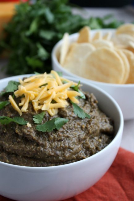 Spicy Black Bean Dip