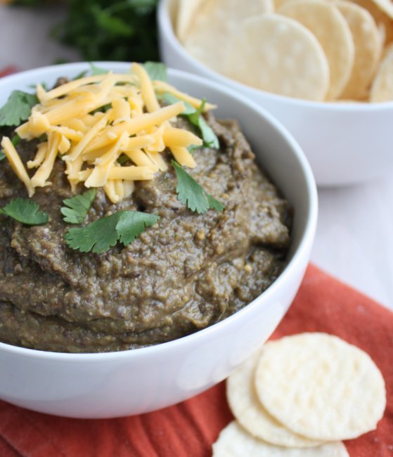 Spicy Black Bean Dip