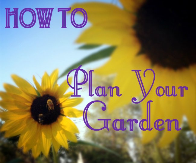 how to plan your garden