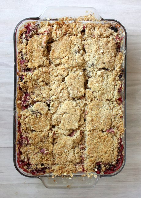 Blackberry Rhubarb Oat Crumb Bars