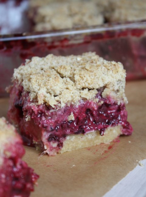 Blackberry Rhubarb Oat Crumb Bars