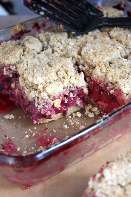 Blackberry Rhubarb Oat Crumb Bars