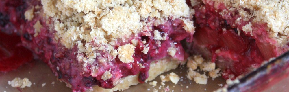 Blackberry Rhubarb Oat Crumb Bars