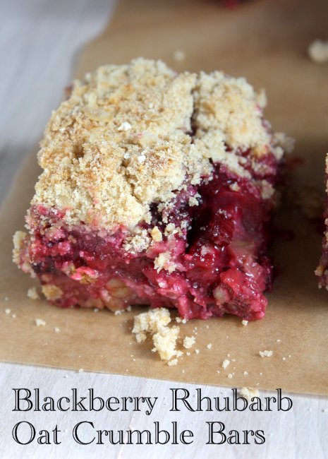 Blackberry Rhubarb Oat Crumb Bars