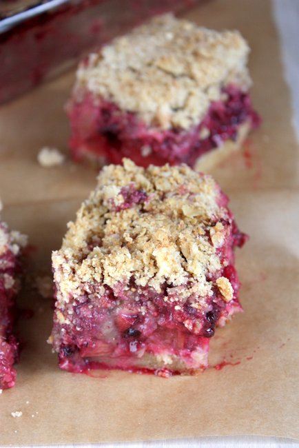 Blackberry Rhubarb Oat Crumb Bars