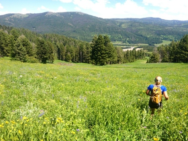 bridger ridge run