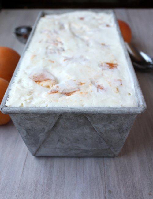 No Churn Brown Sugar Roasted Apricot Ice Cream