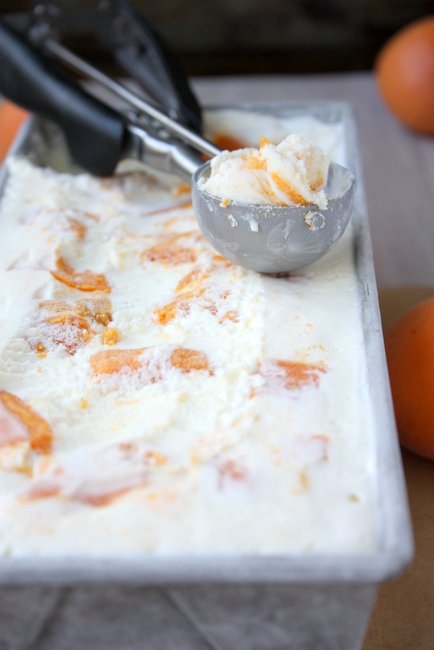 No Churn Brown Sugar Roasted Apricot Ice Cream