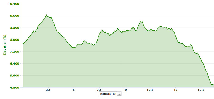 Bridger Ridge Run Elevation Profile