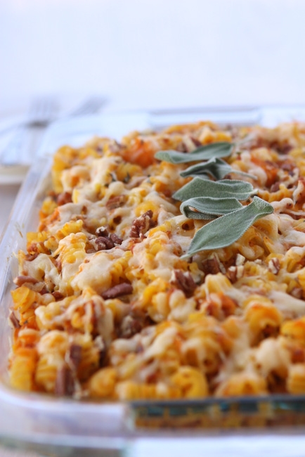 Butternut Squash, Chorizo, and Pecan Baked Pasta | thekitchenpaper.com