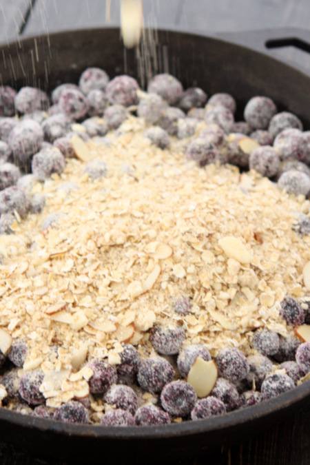 Skillet Blueberry Crisp | thekitchenpaper.com