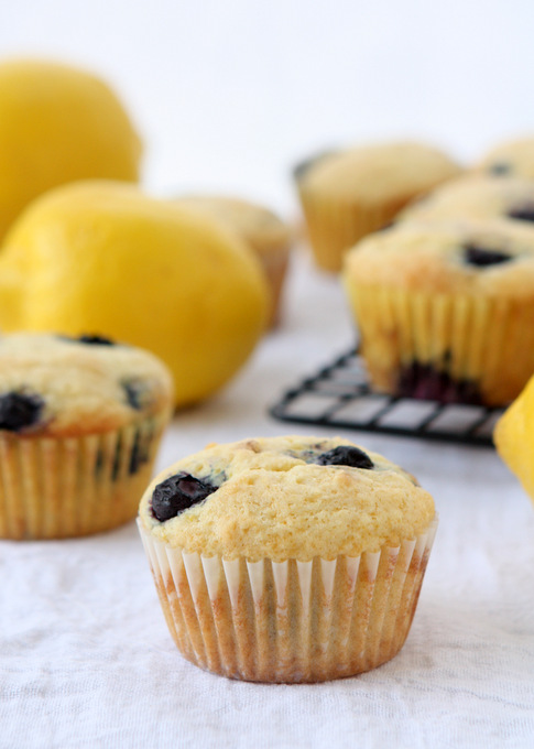 Lemon Blueberry Muffins | thekitchenpaper.com