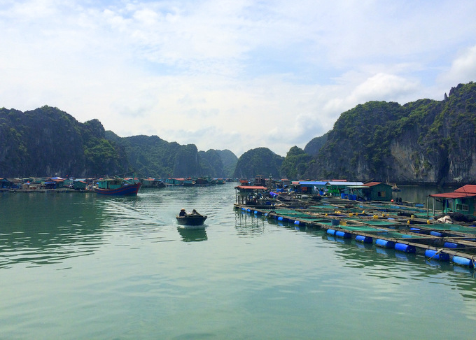 Vietnam: Ha Long Bay Recap | thekitchenpaper.com