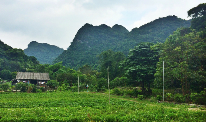 Vietnam: Ha Long Bay Recap | thekitchenpaper.com