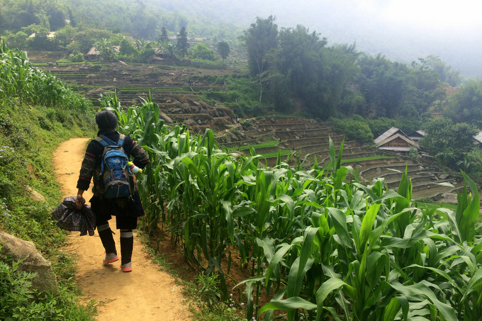 Northern Vietnam: Sapa and Bac Ha | thekitchenpaper.com