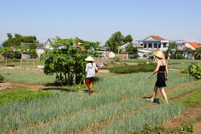 Vietnam: Baby Mustard Cooking Class {Hoi An} | thekitchenpaper.com