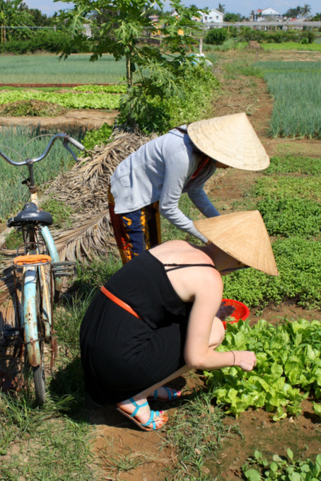 Vietnam: Baby Mustard Cooking Class {Hoi An} | thekitchenpaper.com