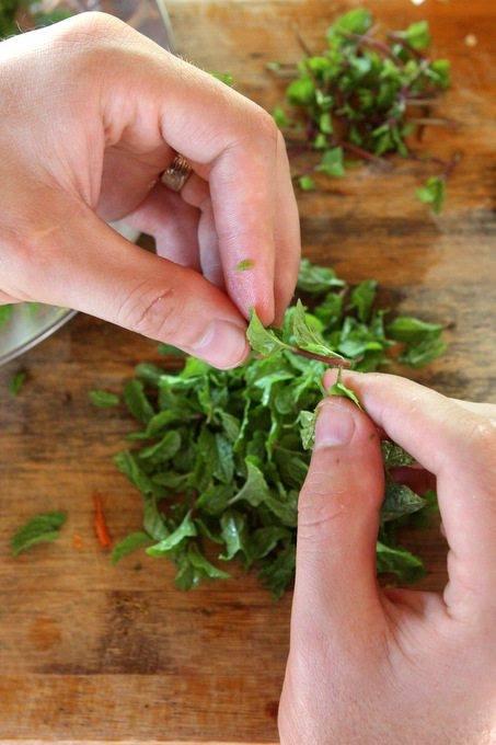 Vietnam: Baby Mustard Cooking Class {Hoi An} | thekitchenpaper.com