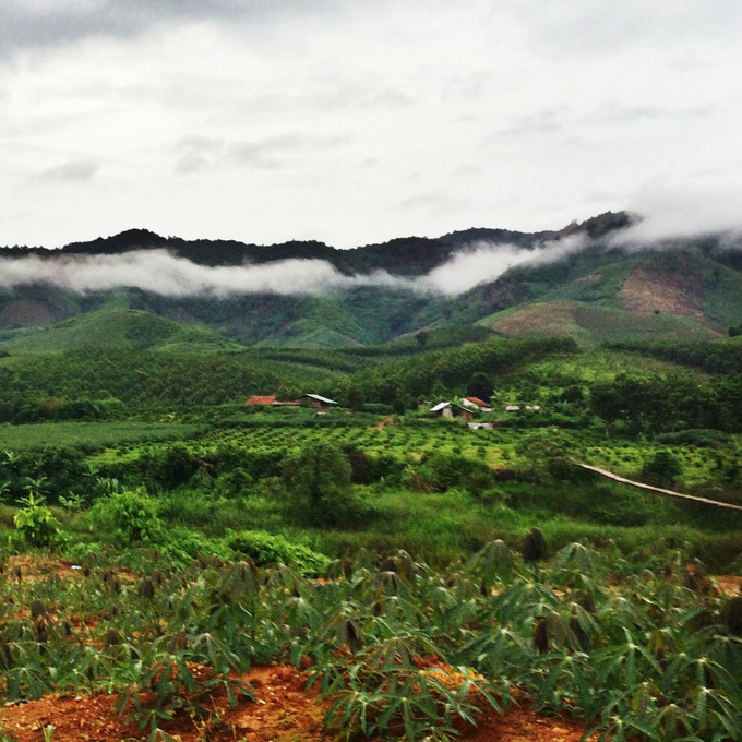 How to Motorbike Through Vietnam | thekitchenpaper.com