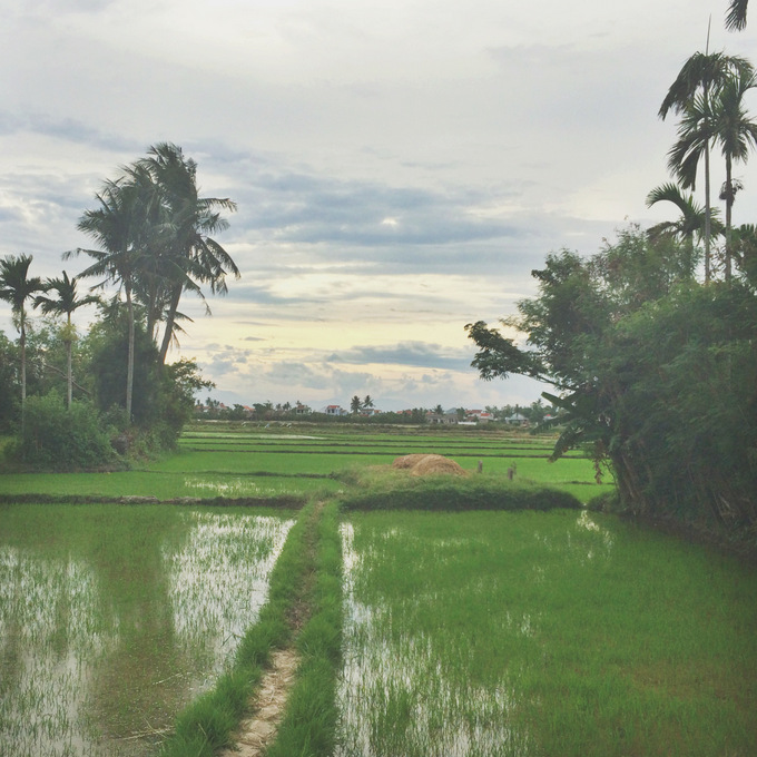 Vietnam: Hoi An | thekitchenpaper.com