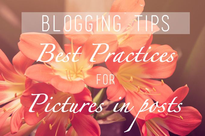 Blogging Tips: Best Practices for Pictures in Posts | thekitchenpaper.com