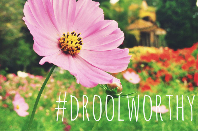 #droolworthy | thekitchenpaper.com