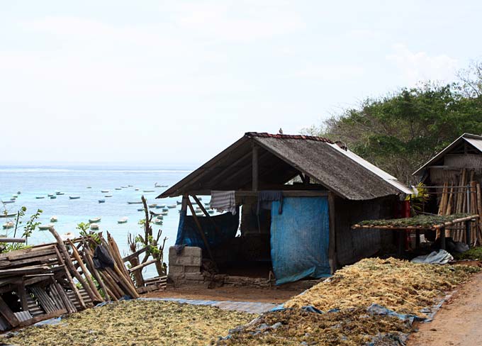 Nusa Lembongan via thekitchenpaper.com