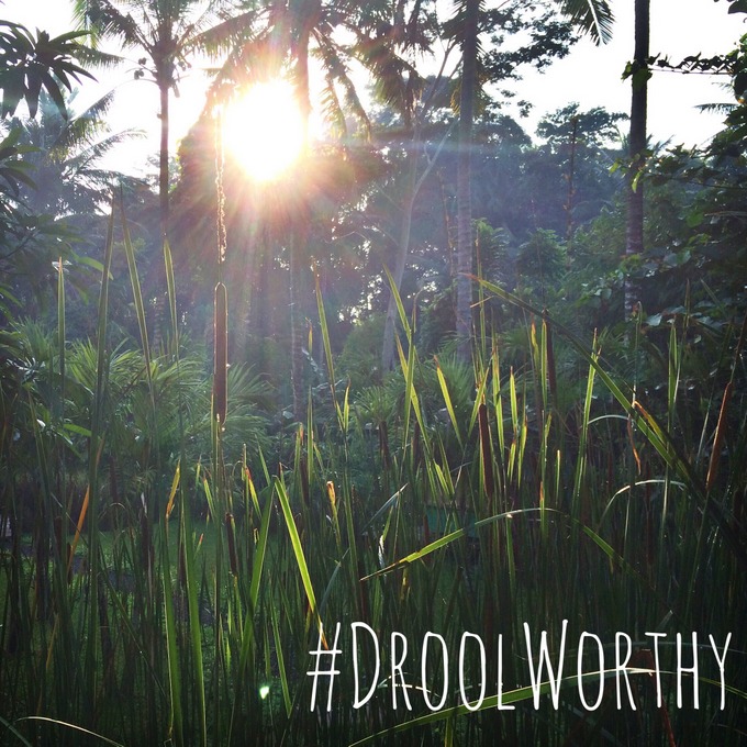 #DroolWorthy | thekitchenpaper.com