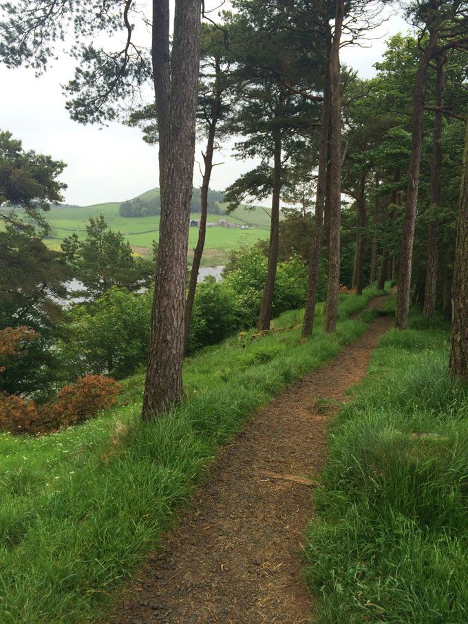 Hadrian's Wall Hike | thekitchenpaper.com