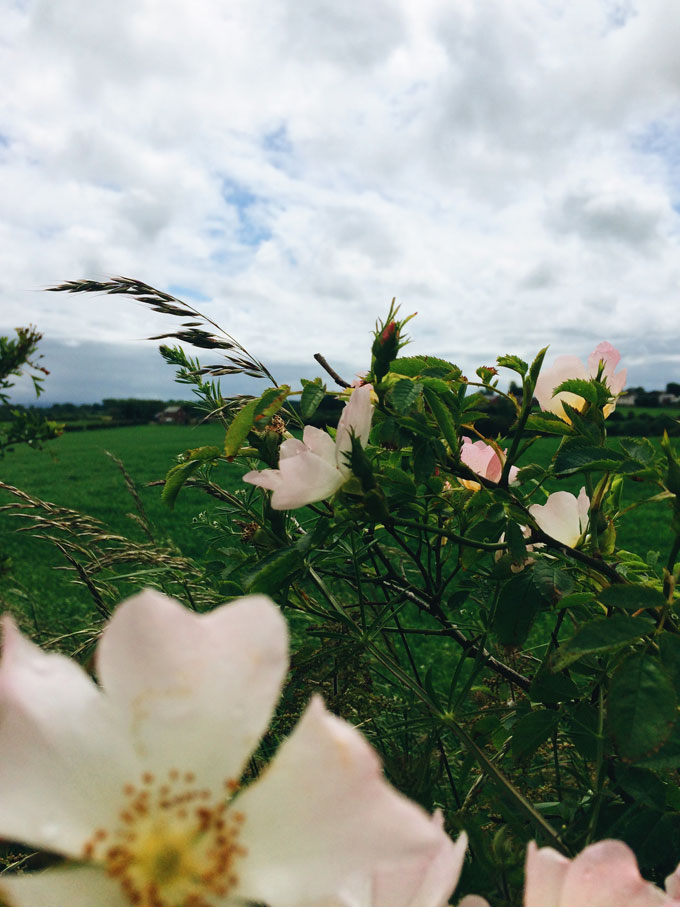 Hadrian's Wall Hike | thekitchenpaper.com