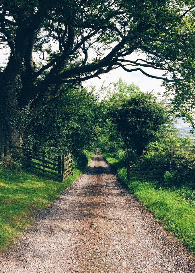 Hadrian's Wall Hike | thekitchenpaper.com