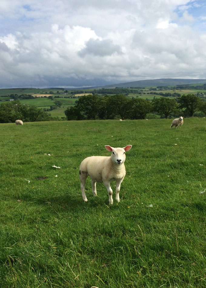 Hadrian's Wall Hike | thekitchenpaper.com