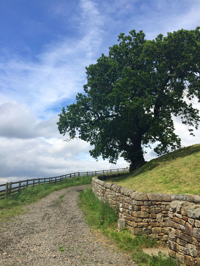 Hadrian's Wall Hike | thekitchenpaper.com