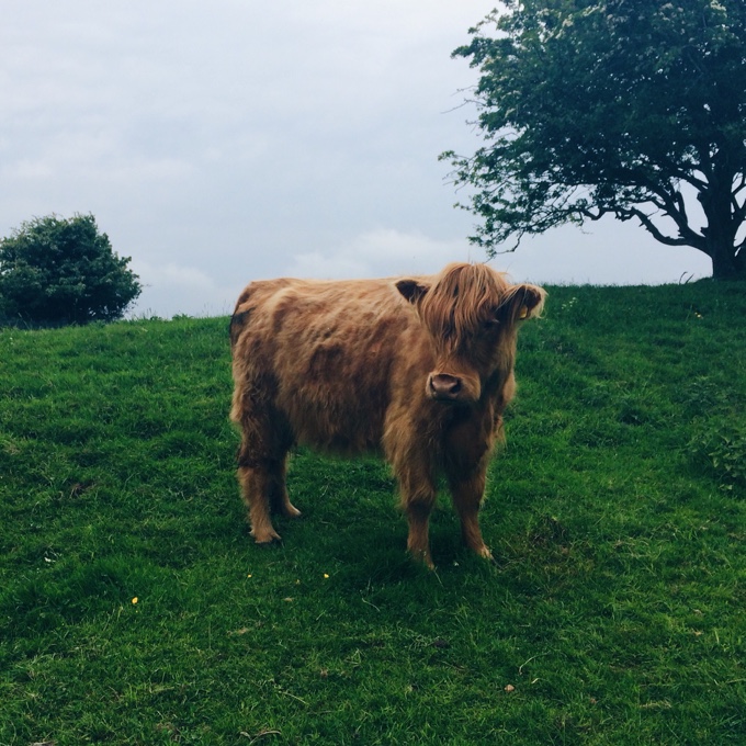 Hadrian's Wall Hike | thekitchenpaper.com