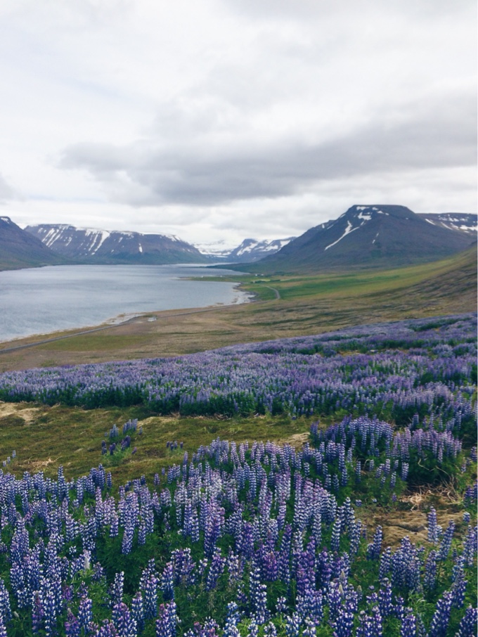 iceland by van | thekitchenpaper.com