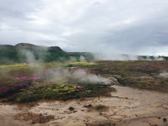 Life in Pictures: Iceland | thekitchenpaper.com