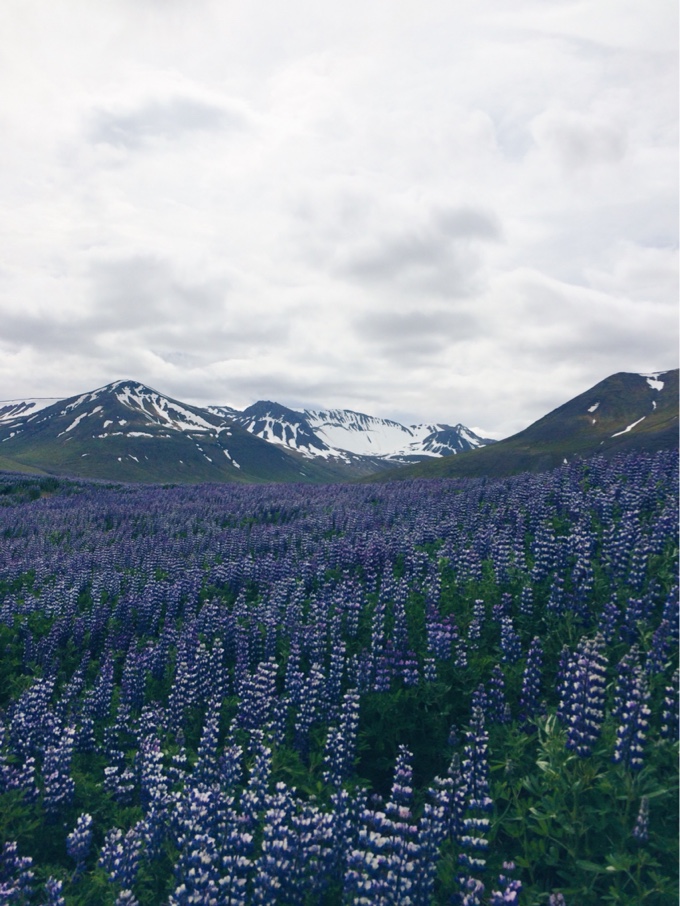 iceland by van | thekitchenpaper.com