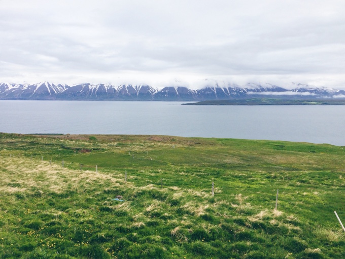 Life in Pictures: Iceland | thekitchenpaper.com