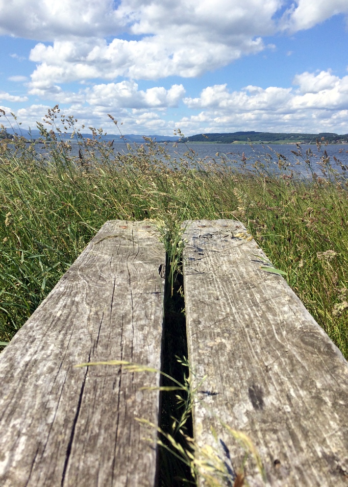 life in pictures | scotland