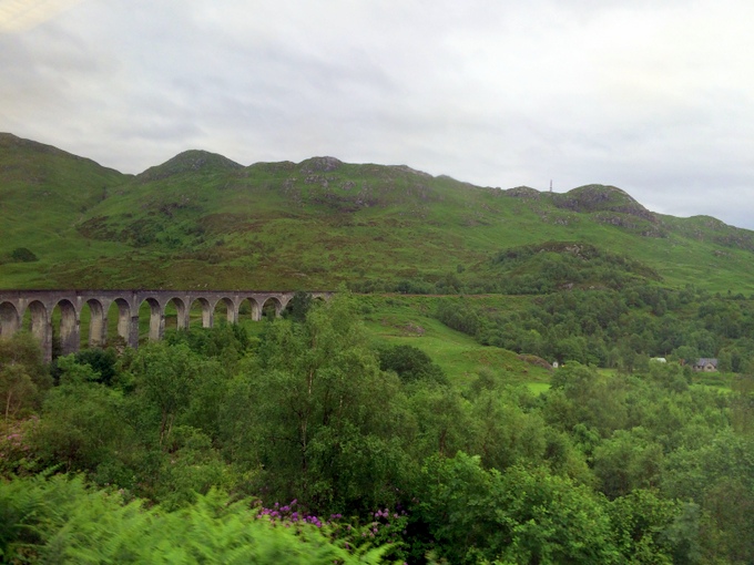 life in pictures | scotland