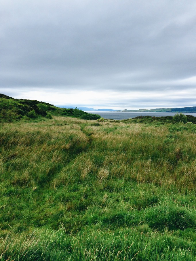 life in pictures | scotland