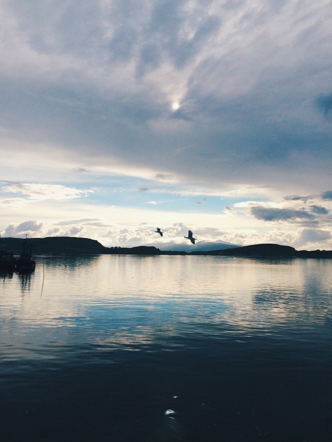 life in pictures | scotland