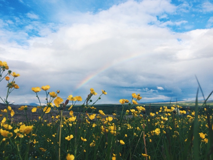 Life in Pictures: Iceland | thekitchenpaper.com