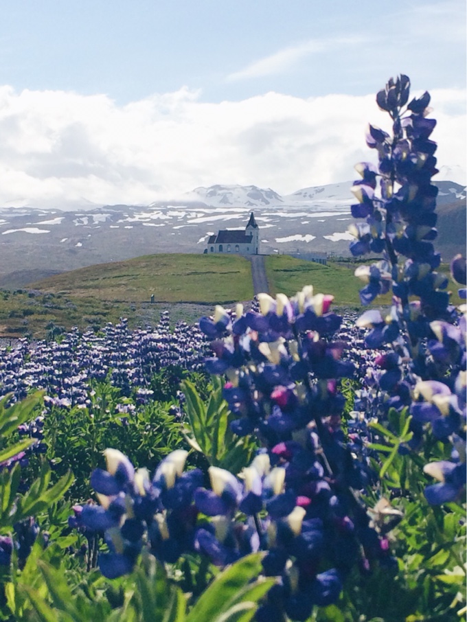 Life in Pictures: Iceland | thekitchenpaper.com