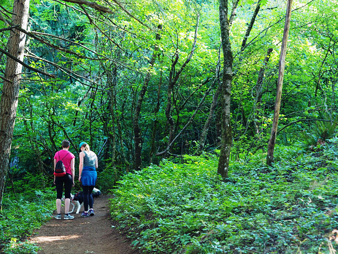 Dog Mountain Hike with Naked Juice | thekitchenpaper.com