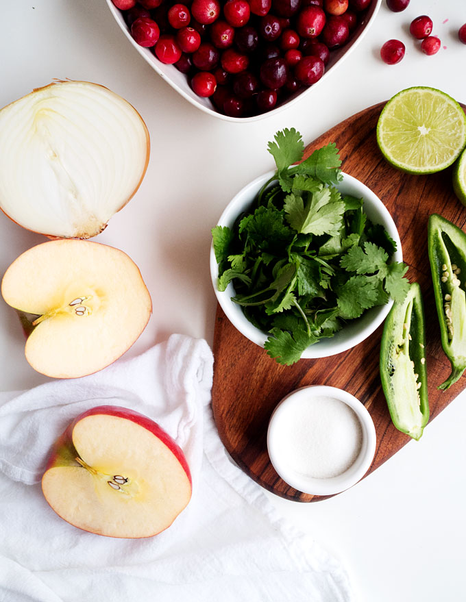 Apple-Cranberry Salsa | thekitchenpaper.com