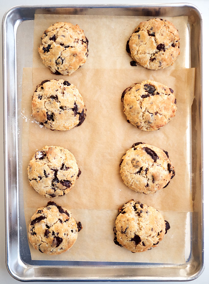 Dark Chocolate Cranberry Scones Recipe | The Kitchen Paper